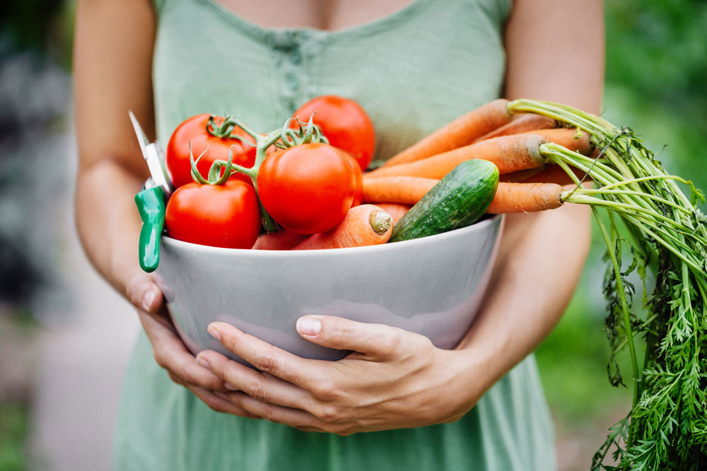 More Than Digestion – The Importance of Gut Health